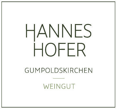 Galerie Bild